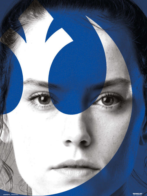grupo erik star wars episode ix rey stampa artistica 30x40cm | Yourdecoration.it