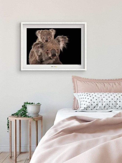 komar koala bear stampa artistica sfeer c3014893 7dec 4793 94f4 8f72ae3135aa | Yourdecoration.it