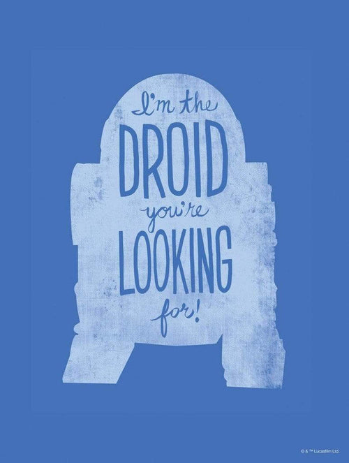 komar wb sw 022 30x40h star wars silhouette quotes r2d2 stampa artistica 30x40cm | Yourdecoration.it
