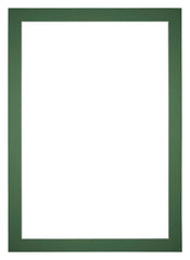 Passepartout Dimensione Cornice 33x48 cm - Formato Immagine 20x40 cm - Foresta Verde