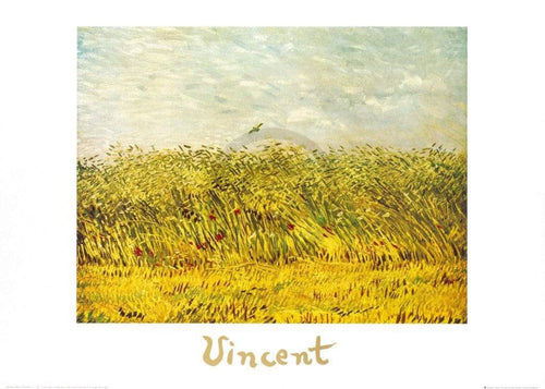 pgm 136 vincent van gogh the wheat field stampa artistica 70x50cm | Yourdecoration.it