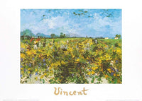 pgm 164 vincent van gogh the green vineyard stampa artistica 70x50cm | Yourdecoration.it
