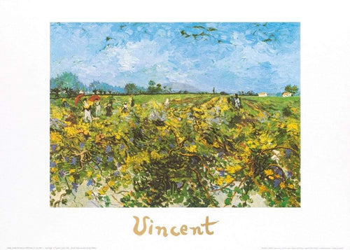 pgm 164 vincent van gogh the green vineyard stampa artistica 70x50cm | Yourdecoration.it