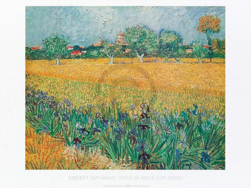 pgm 31607 vincent van gogh vista di arles con irises stampa artistica 80x60cm | Yourdecoration.it