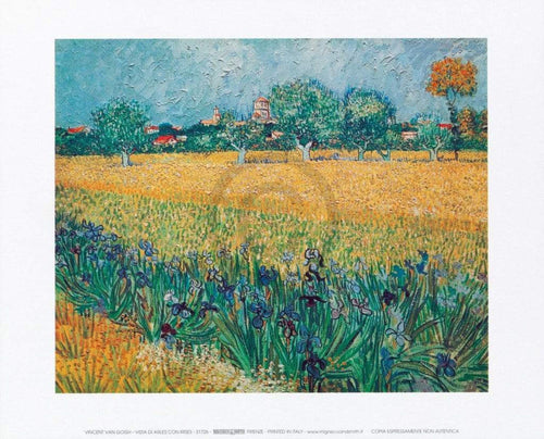 pgm 31726 vincent van gogh vista di arles con irises stampa artistica 30x24cm | Yourdecoration.it