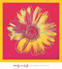 pgm aw 791 andy warhol daisy 1982 stampa artistica 90x90cm | Yourdecoration.it
