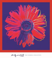 pgm aw 793 andy warhol daisy 1982 stampa artistica 90x90cm | Yourdecoration.it