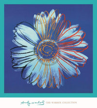 pgm aw 794 andy warhol daisy 1982 stampa artistica 90x90cm | Yourdecoration.it