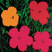 pgm aw 980 andy warhol flowers c 1964 stampa artistica 60x60cm | Yourdecoration.it
