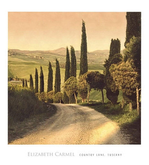 pgm ceh 534 elisabeth carmel country lane tuscany stampa artistica 45x50cm | Yourdecoration.it