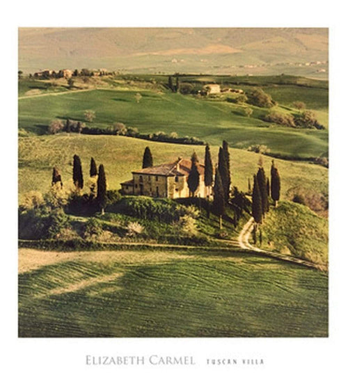 pgm ceh 537 elisabeth carmel tuscan villa stampa artistica 45x50cm | Yourdecoration.it