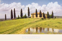 pgm chn 73 jim chamberlain tuscan hillside 5 stampa artistica 91x61cm | Yourdecoration.it