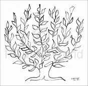 pgm hm 114 henri matisse le platane stampa artistica 100x100cm 27883960 a813 4139 b4ef d4abb64ce828 | Yourdecoration.it