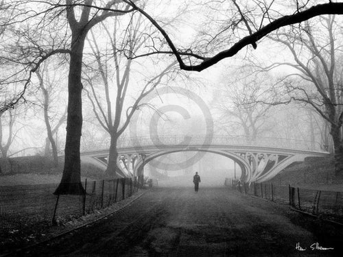 pgm hsi 271 henri silberman gothic bridge central park nyc stampa artistica 80x60cm 8e18dca0 6424 4fce 8f4d 1e2254b7085a | Yourdecoration.it