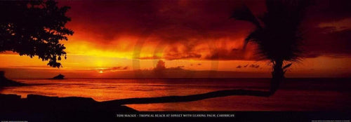 pgm met 12 tom mackie tropical beach at sunset stampa artistica 95x33cm | Yourdecoration.it