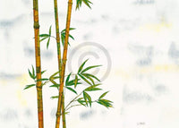 pgm mf 08 michael ferner bambus stampa artistica 70x50cm | Yourdecoration.it