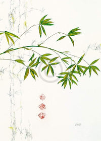 pgm mf 09 michael ferner bambuszweig stampa artistica 50x70cm | Yourdecoration.it
