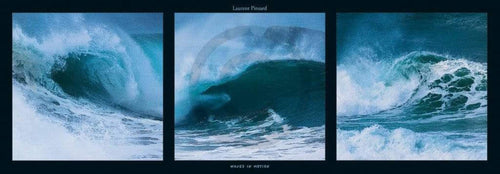 pgm pdl 10 laurent pinsard waves in motion stampa artistica 95x33cm | Yourdecoration.it