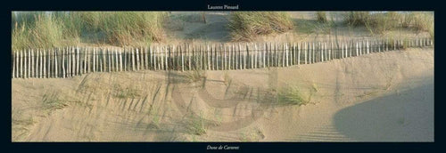 pgm pdl 56 laurent pinsard dune de carteret stampa artistica 95x33cm | Yourdecoration.it