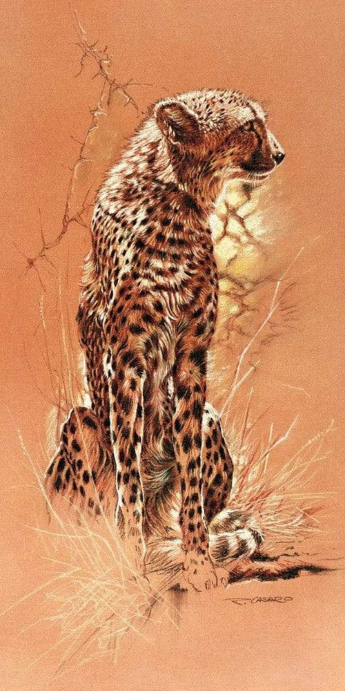 pgm rca 57 renato casaro cheetah stampa artistica 50x100cm | Yourdecoration.it