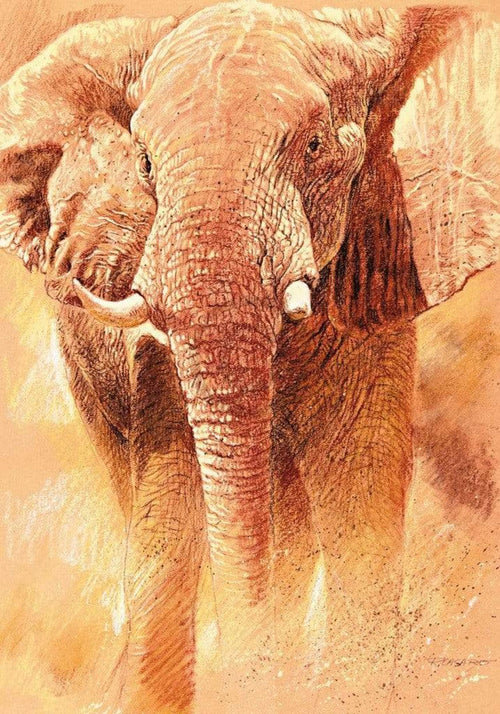 pgm rca 58 renato casaro elefant study stampa artistica 70x100cm | Yourdecoration.it