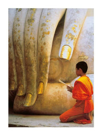 pgm snh 398 hugh sitton the hand of buddha stampa artistica 60x80cm 5a2e56d2 ab6b 4745 8baf 913aded5400c | Yourdecoration.it