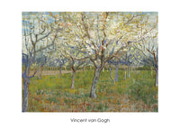 pgm vv 75 vincent van gogh the orchard stampa artistica 70x50cm 5917543e 1b6e 40eb b4d7 5169dbd896e2 | Yourdecoration.it