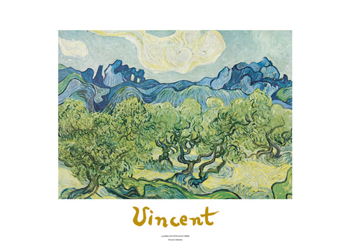 pgm vv 78 vincent van gogh landscapes with olive trees stampa artistica 70x50cm 05a34325 d191 4116 b652 7024b6be9a40 | Yourdecoration.it