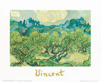 pgm x 78 vincent van gogh landscapes with olive trees stampa artistica 30x24cm 001f51dc b7b3 4f9a a456 75ce33fe0b11 | Yourdecoration.it