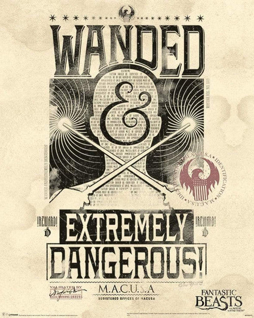 Pyramid Fantastic Beasts Extremely Dangerous Poster 40x50cm | Yourdecoration.it
