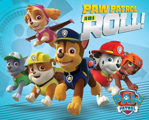 Pyramid Paw Patrol On a Roll Poster 50x40cm | Yourdecoration.it