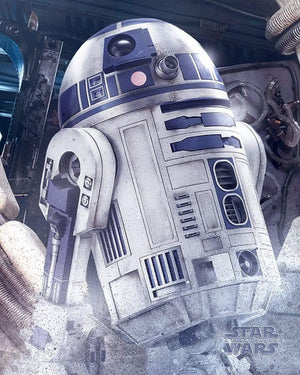 Pyramid Star Wars the Last Jedi R2 D2 Droid Poster 40x50cm | Yourdecoration.it