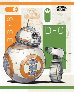 Pyramid Star Wars The Rise of Skywalker BB 8 and D 0 Poster 40x50cm | Yourdecoration.it