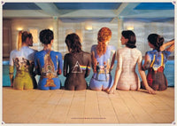 Pyramid Pink Floyd Back Catalogue Poster 91,5x61cm | Yourdecoration.it