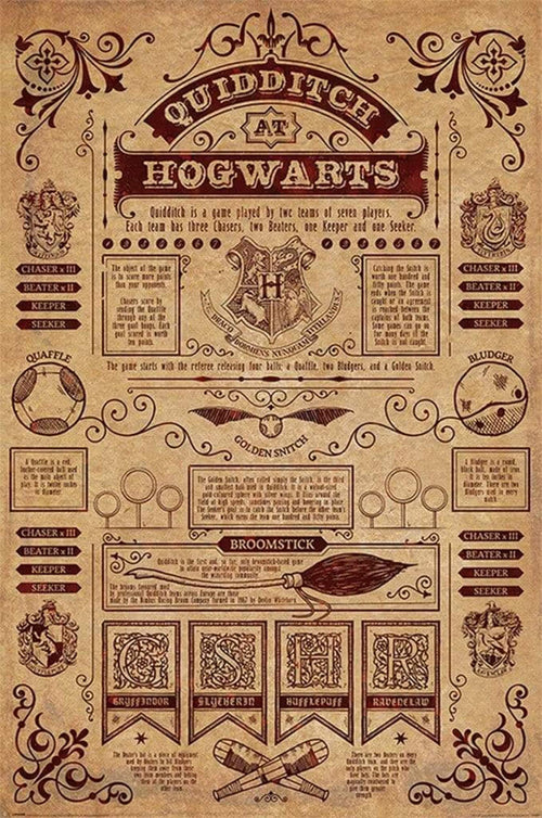 Pyramid Harry Potter Quidditch At Hogwarts Poster 61x91,5cm | Yourdecoration.it