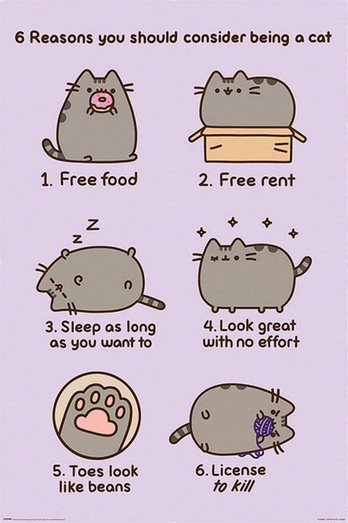 Pyramid Pusheen Reasons to be a Cat Poster 61x91,5cm | Yourdecoration.it