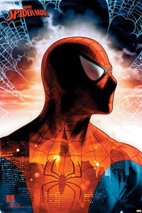 Pyramid Spider Man Protector of the City Poster 61x91,5cm | Yourdecoration.it