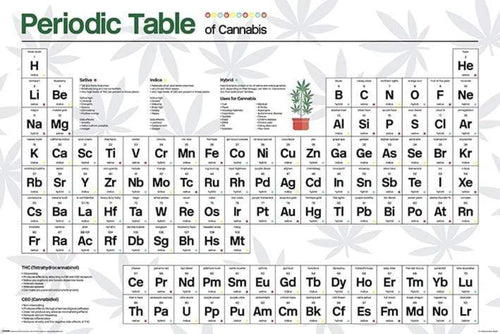 Pyramid Periodic Table Cannabis Poster 61x91,5cm | Yourdecoration.it