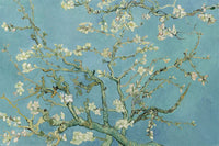 Pyramid Van Gogh Almond Blossom Poster 91,5x61cm | Yourdecoration.it