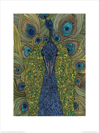 pyramid ppr44078 valentina ramos the peacock stampa artistica 30x40cm | Yourdecoration.it