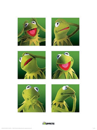 pyramid ppr44370 the muppets kermit boxes stampa artistica 30x40cm | Yourdecoration.it