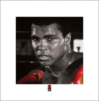 pyramid ppr45165 muhammad ali boxing gloves stampa artistica 40x40cm | Yourdecoration.it
