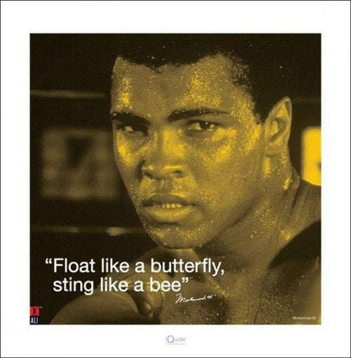 pyramid ppr45226 muhammad ali iquote sting like a bee stampa artistica 40x40cm | Yourdecoration.it