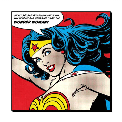pyramid ppr45251 wonder woman of all people stampa artistica 40x40cm | Yourdecoration.it