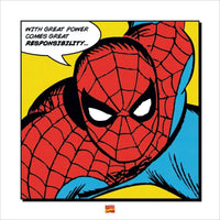 pyramid ppr45257 spider man with great power stampa artistica 40x40cm | Yourdecoration.it