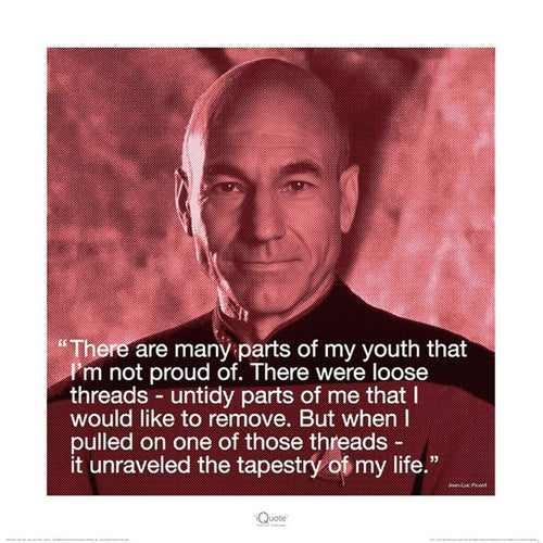 pyramid ppr45295 star trek jeanluc picard iquote stampa artistica 40x40cm | Yourdecoration.it