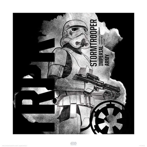 pyramid ppr45667 star wars rogue one stormtrooper smoke stampa artistica 40x40cm | Yourdecoration.it