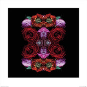 pyramid ppr46076 alyson fennell paradise of petals stampa artistica 60x60cm | Yourdecoration.it