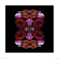 pyramid ppr46076 alyson fennell paradise of petals stampa artistica 60x60cm | Yourdecoration.it
