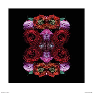 pyramid ppr46076 alyson fennell paradise of petals stampa artistica 60x60cm | Yourdecoration.it